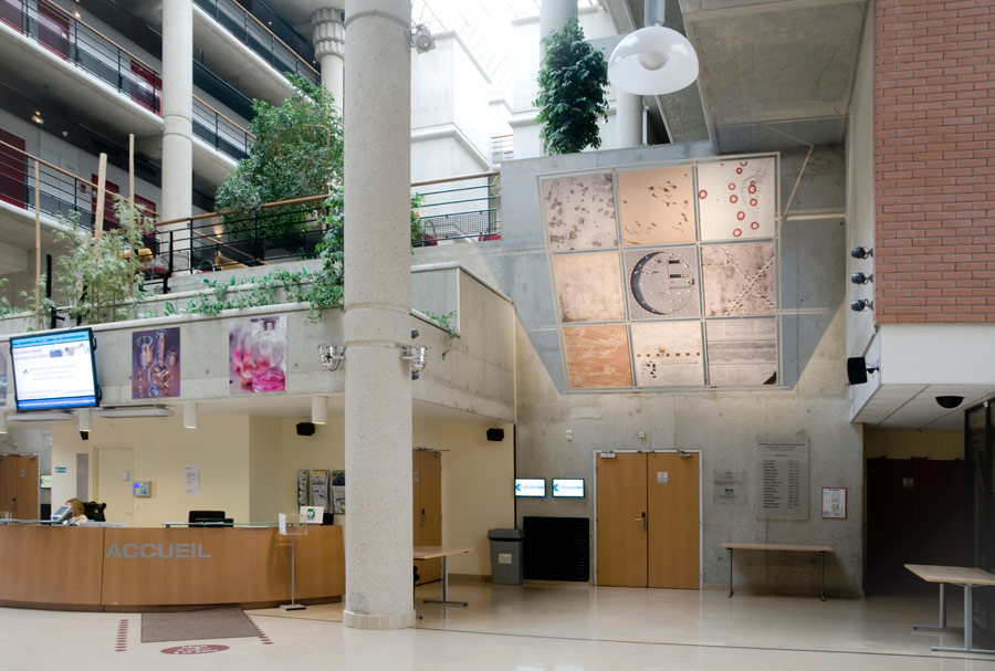 Jérémie Lenoir - PRIX A.M.E.