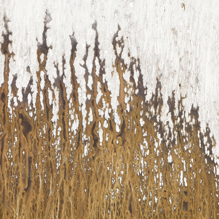 Jérémie Lenoir - DUST