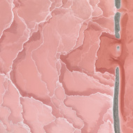 Jérémie Lenoir - DOWNLOADS